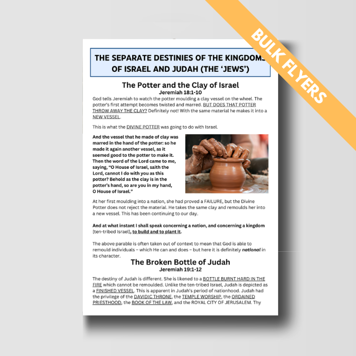 Separate Destinies - Bulk Flyers