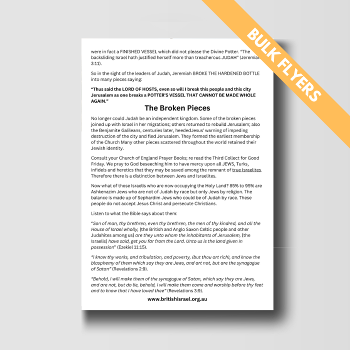 Separate Destinies - Bulk Flyers