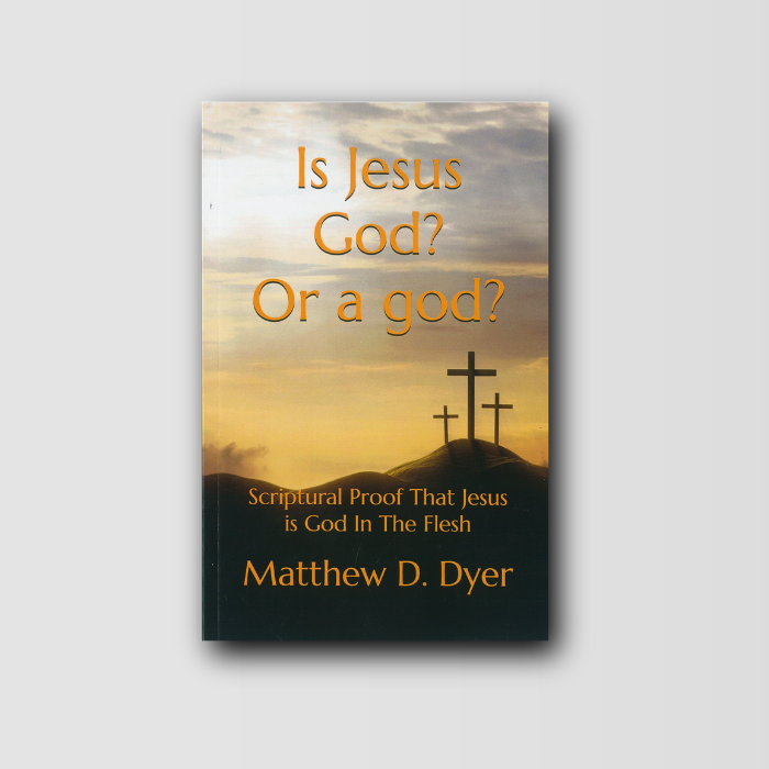 Is Jesus God? Or a god? image 0