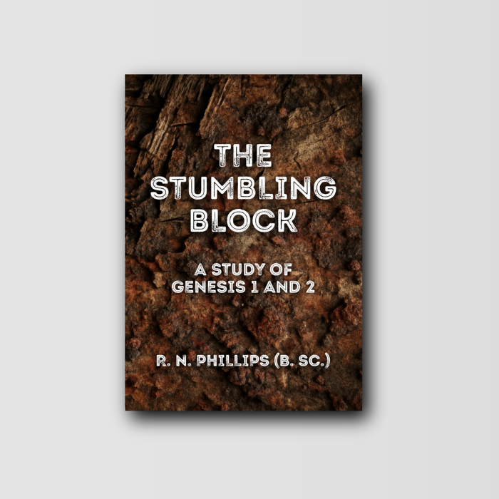 The Stumbling Block