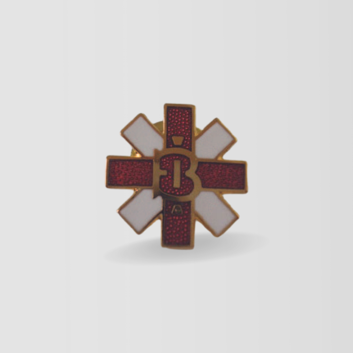 BI Pin image 0